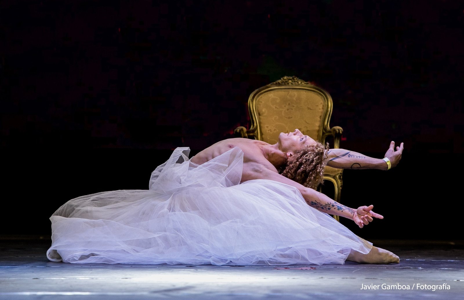 Danza 17