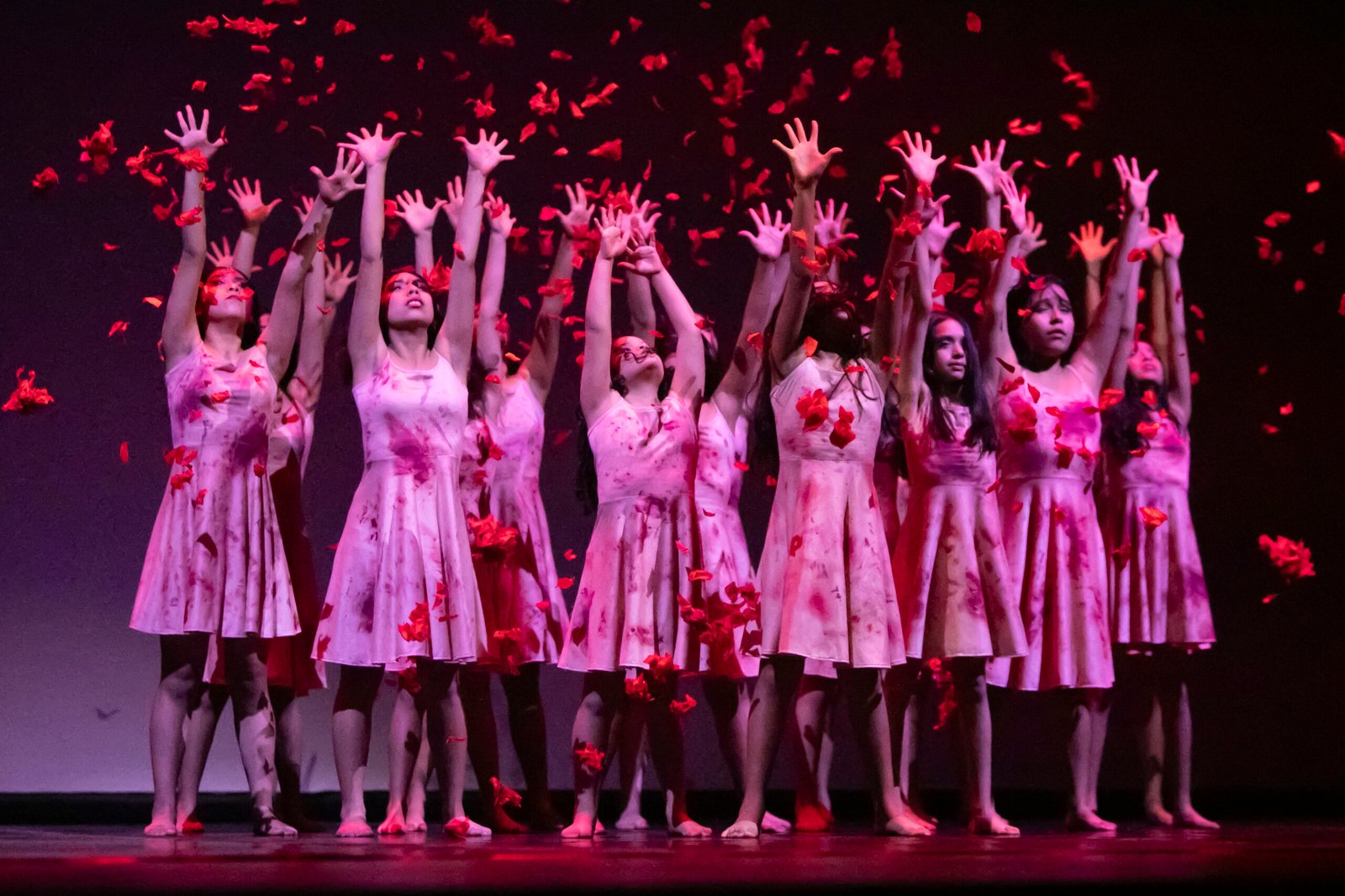 Danza 15
